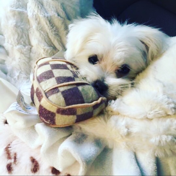 Meet your Posher, Am - Picture 1 of 7